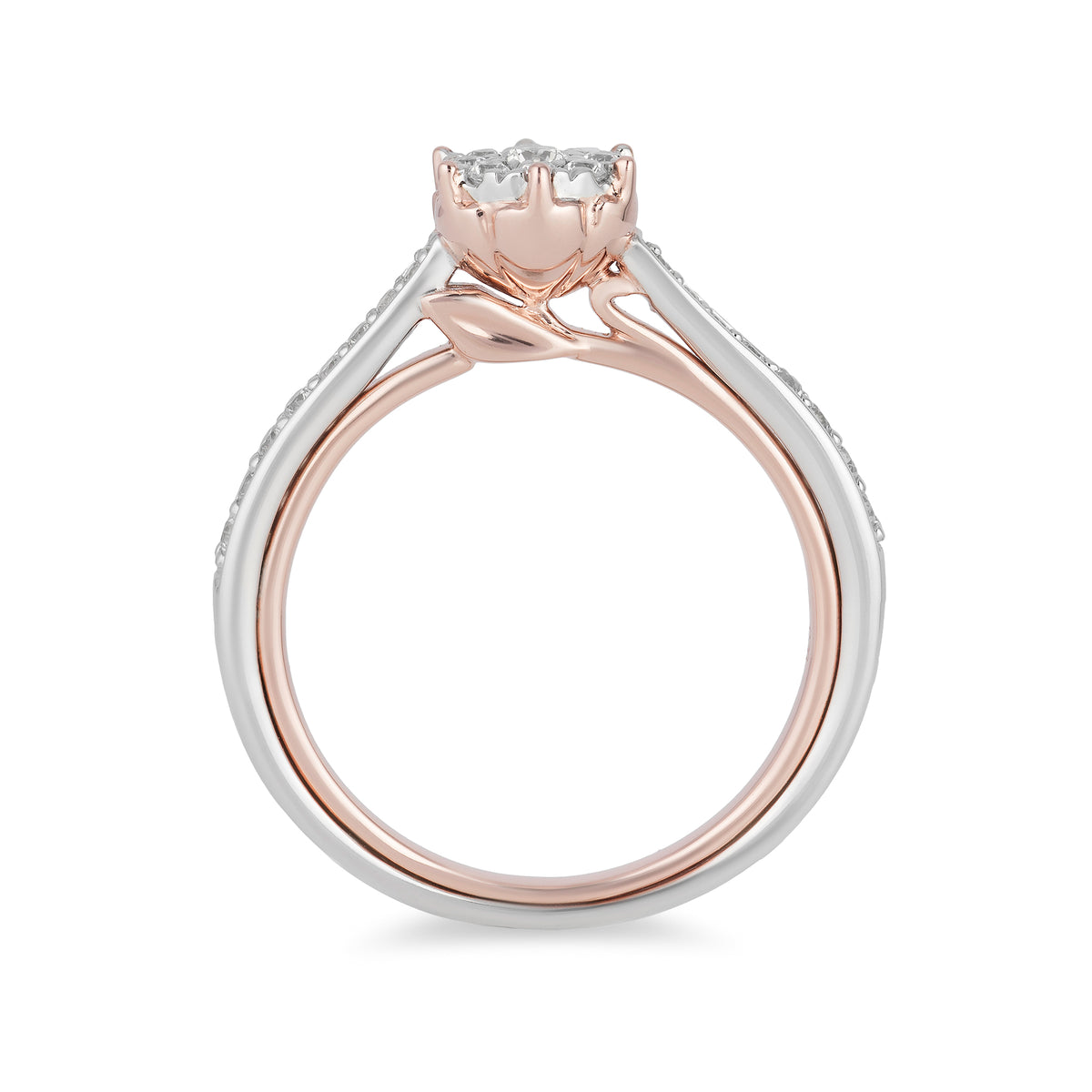 Disney Belle Inspired Diamond Engagement Ring in 10K White Gold & Rose ...